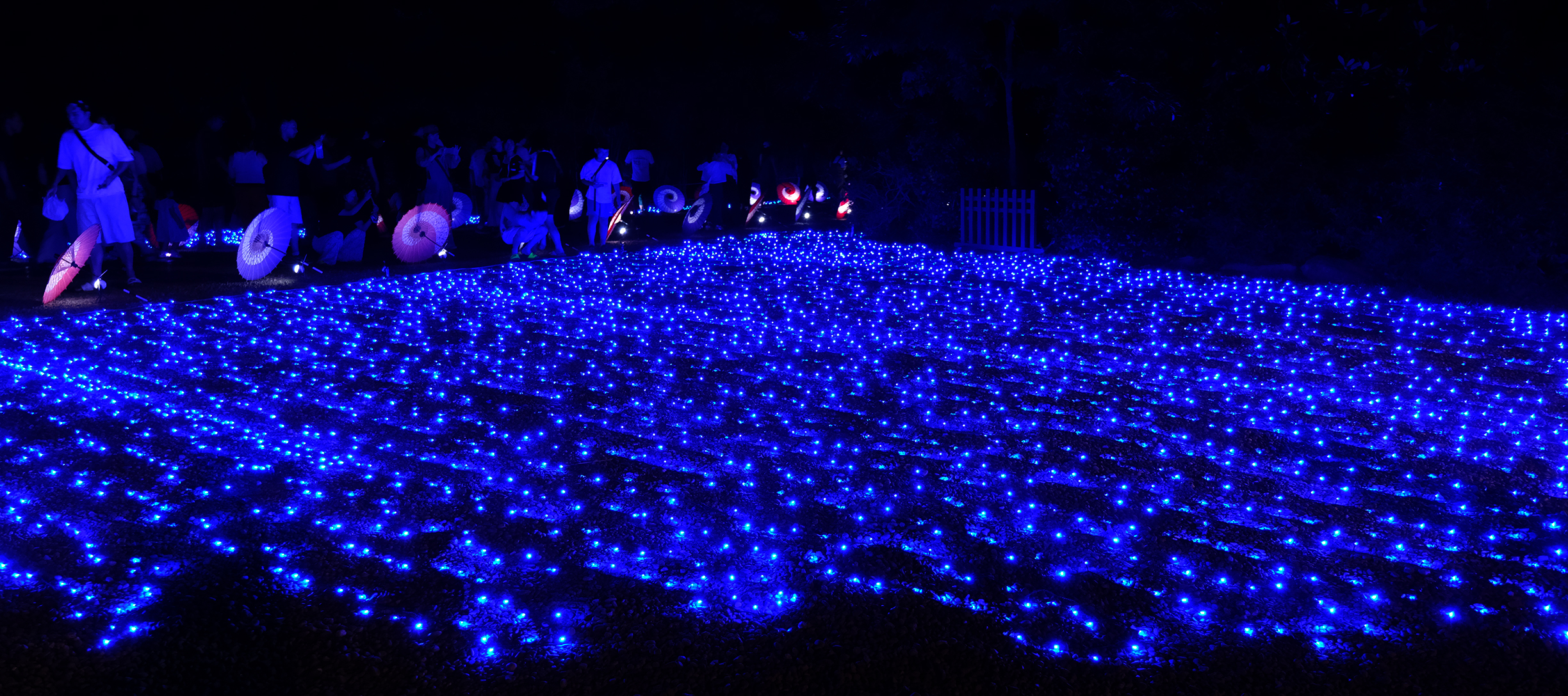 #22 TABNABATA FES.