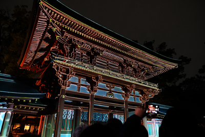 #23 大宮盆栽村100周年の夜